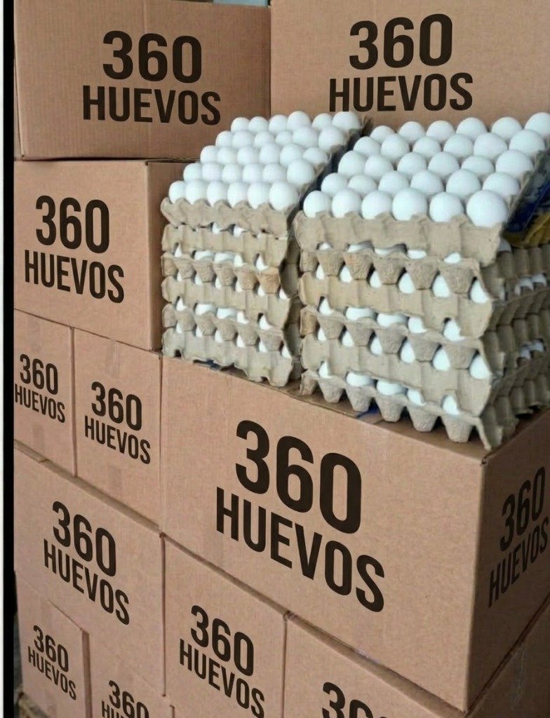 Caja 360 huevos 20kg